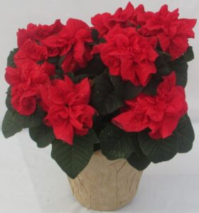 pot with red flowers